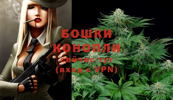 герыч Осинники