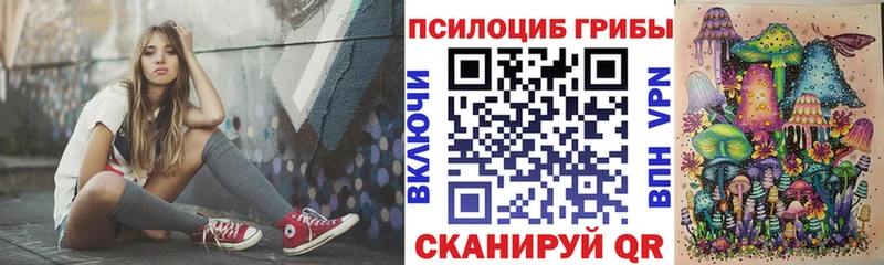 Купить  Электрогорск  Галлюциногенные грибы MAGIC MUSHROOMS 