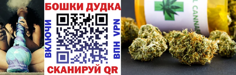 Конопля план  Купить где  Электрогорск 
